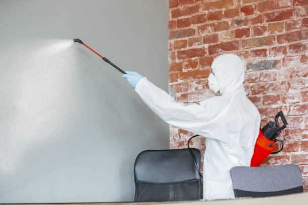 Best HVAC Mold Inspection and Cleaning  in Tuskegee, AL