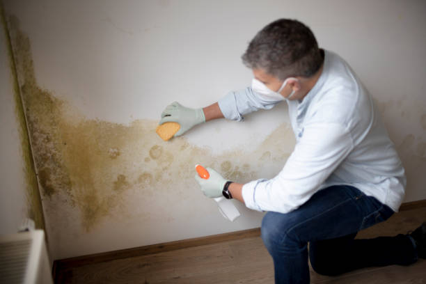 Best Biohazard Mold Removal  in Tuskegee, AL
